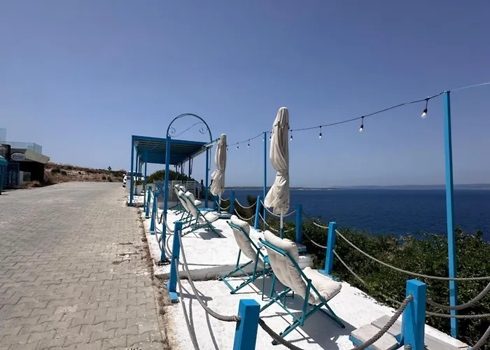 فينير كافية&كاهفالتي