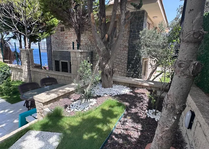 فينير كافية&كاهفالتي