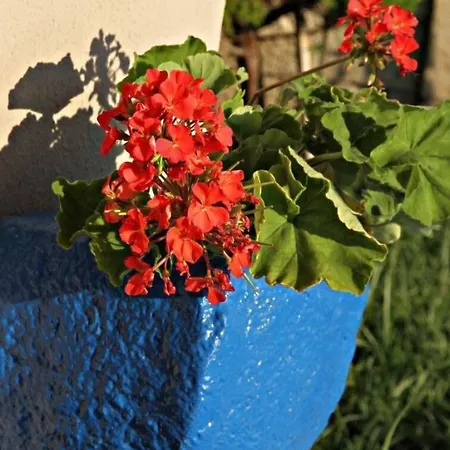 Hotel Fener Café&kahvalti