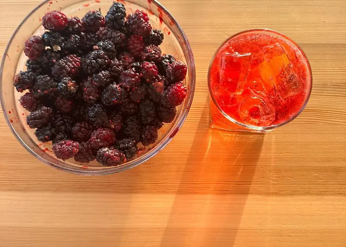 酒店 费尔内咖啡与早餐酒店