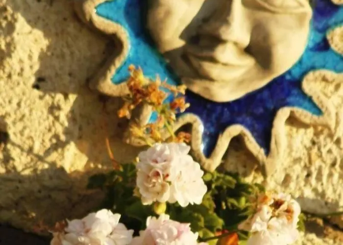 酒店 费尔内咖啡与早餐酒店