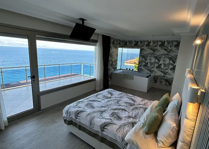 酒店 费尔内咖啡与早餐酒店 3*